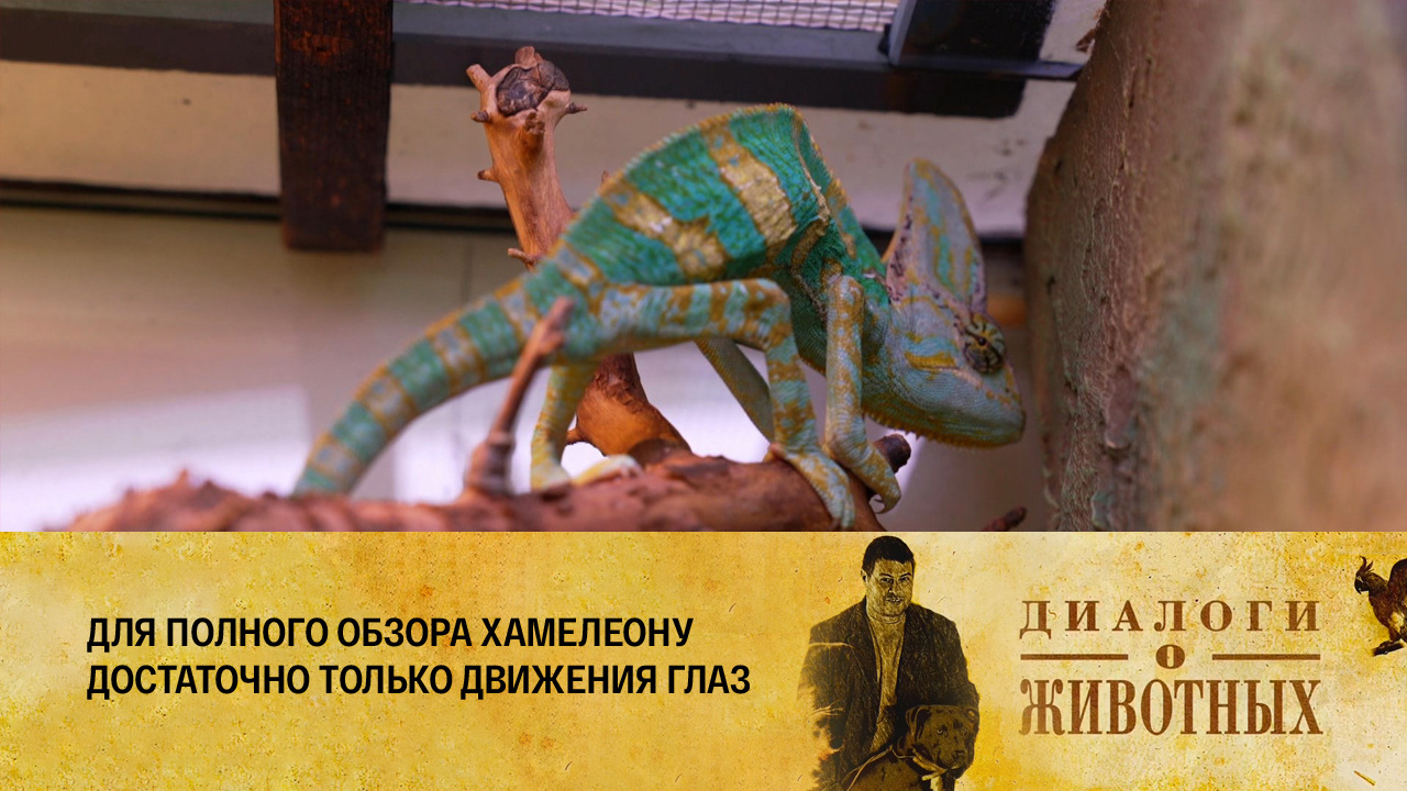 Красноярский парк флоры и фауны "Роев ручей"