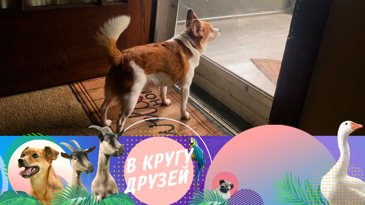 Эфир от 14.09.2025