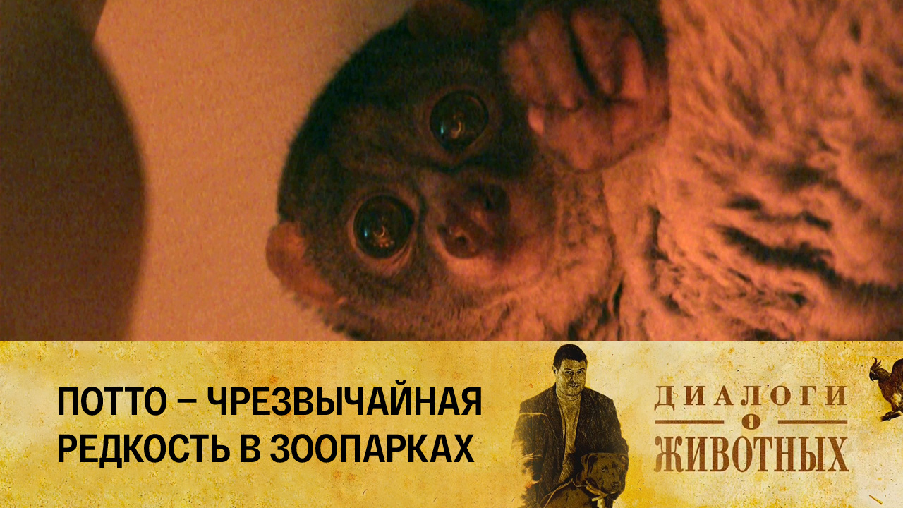 Красноярский парк флоры и фауны "Роев ручей"