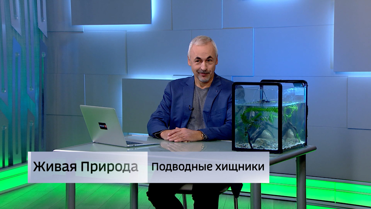 Живая природа. "Подводные хищники". Эфир от 20.09.2025