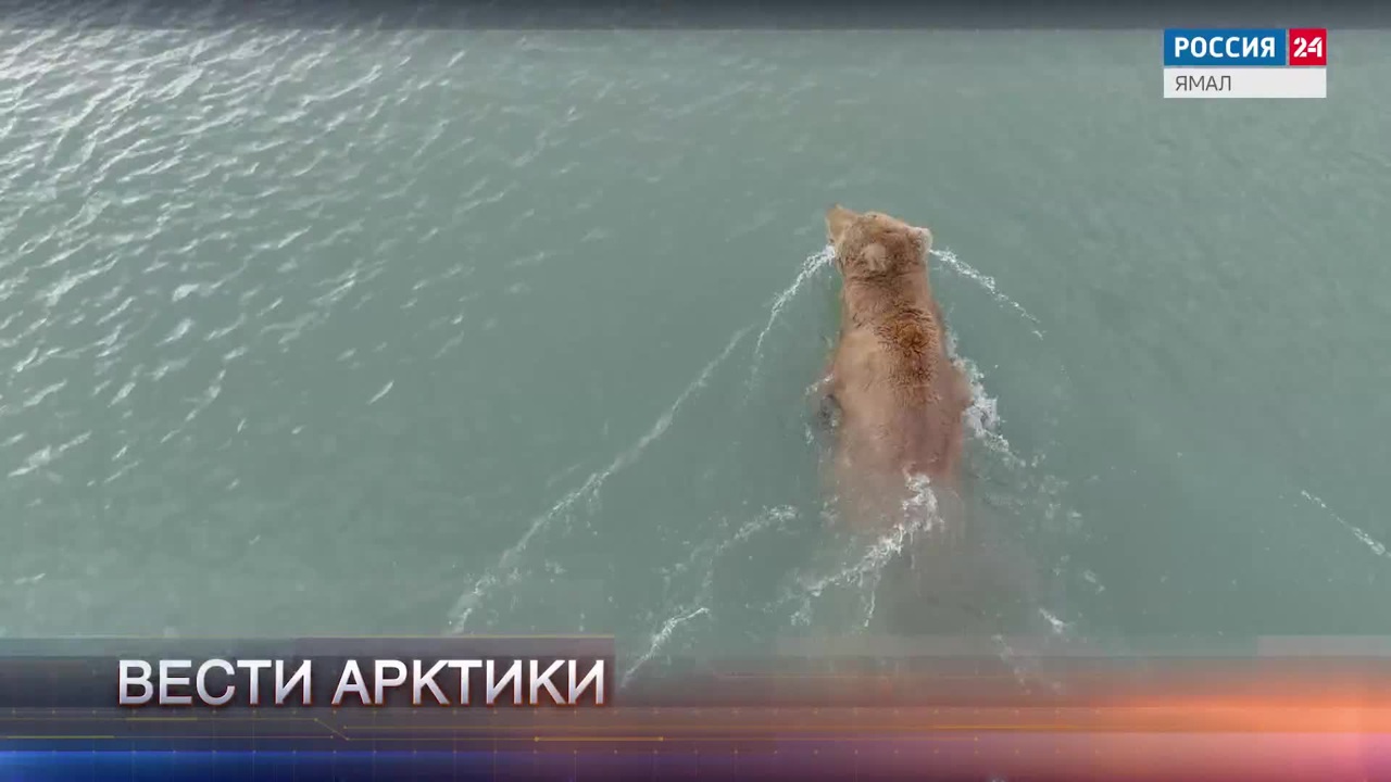 Эфир от 20.09.2025