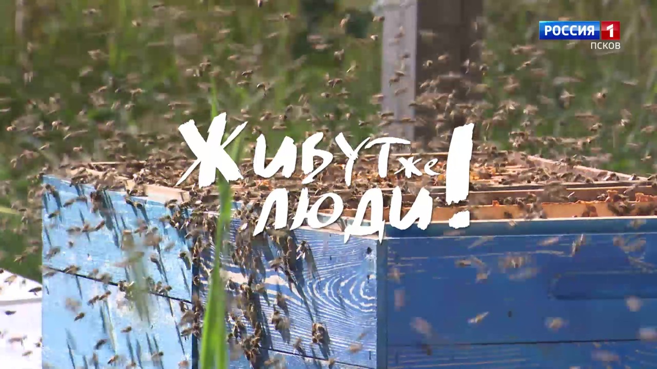 Живут же люди! Пчелоферма в д. Полна. Эфир 21.09.2025