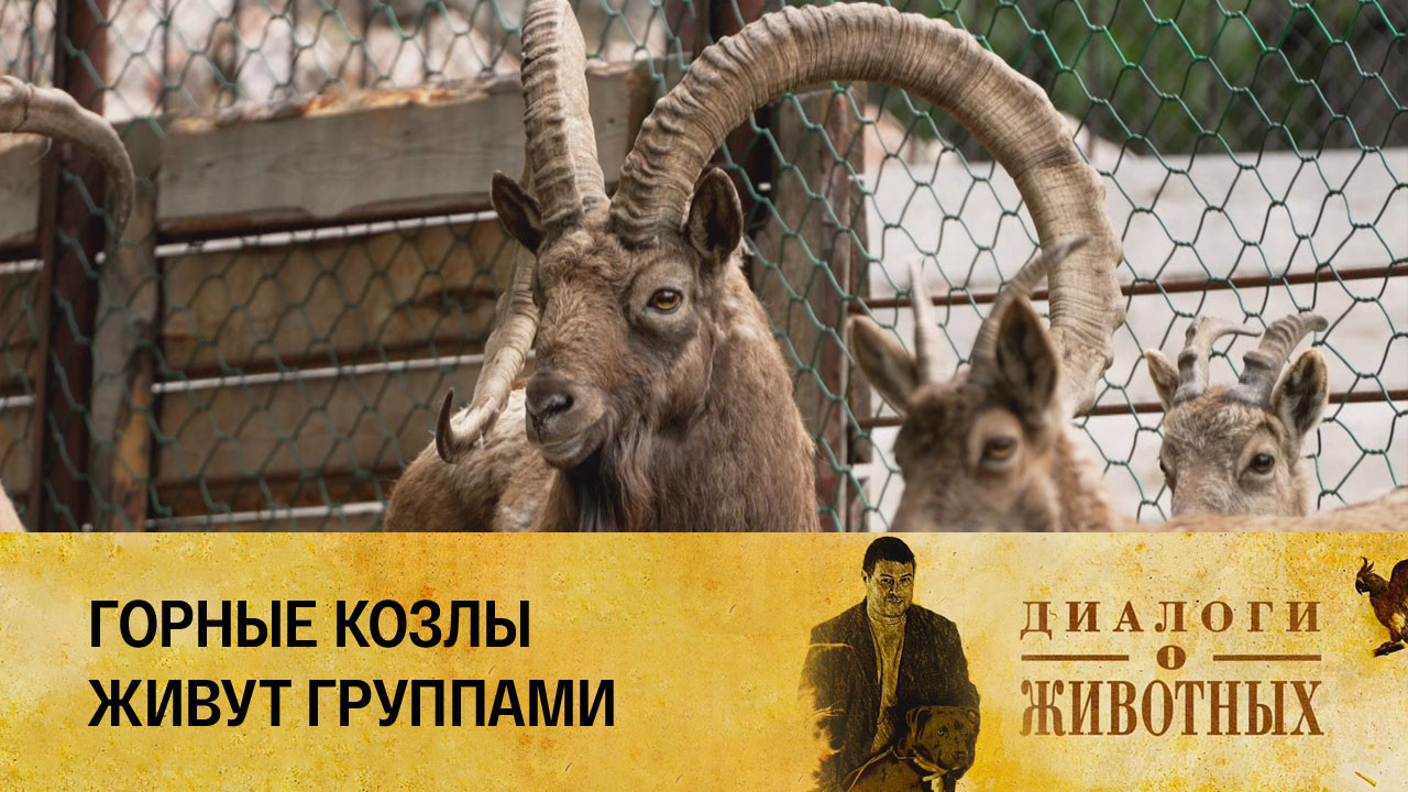 Красноярский парк флоры и фауны "Роев ручей"