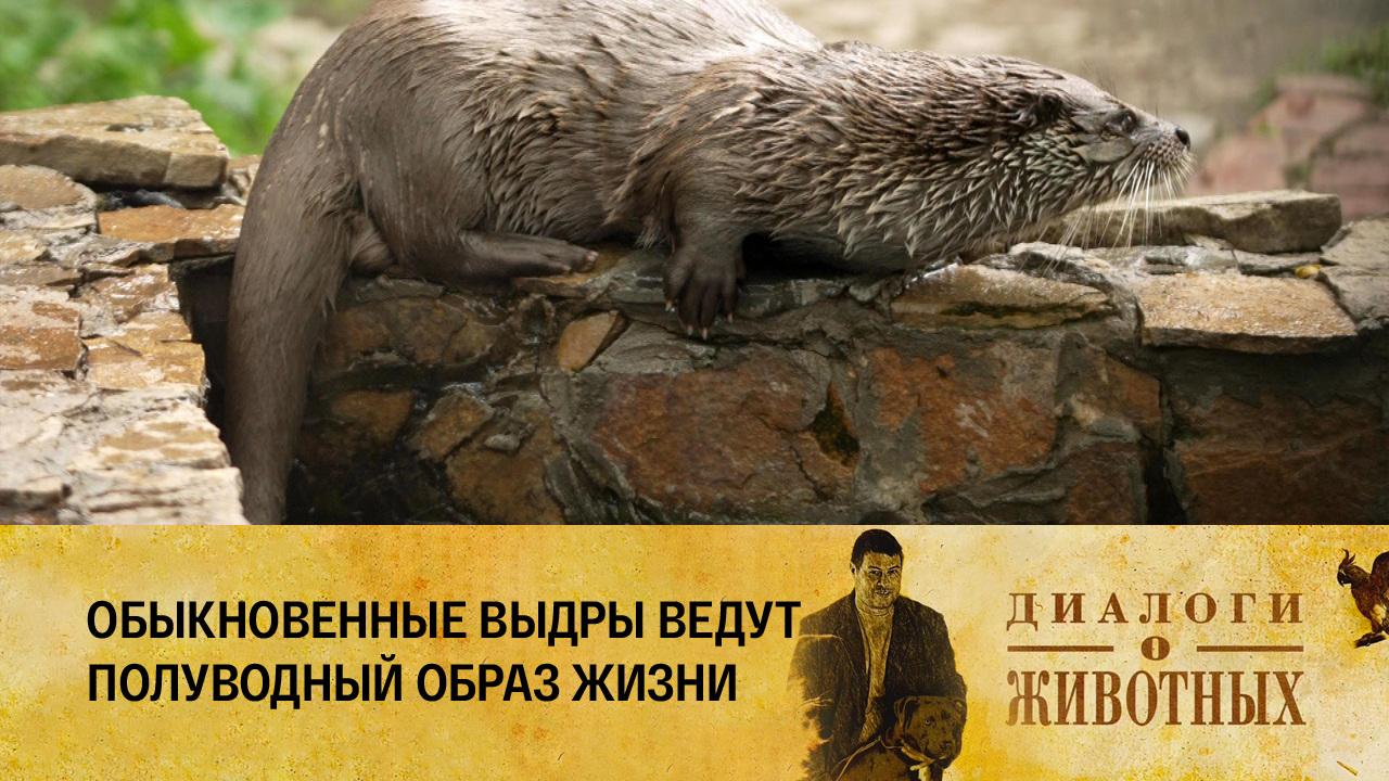 Красноярский парк флоры и фауны "Роев ручей"