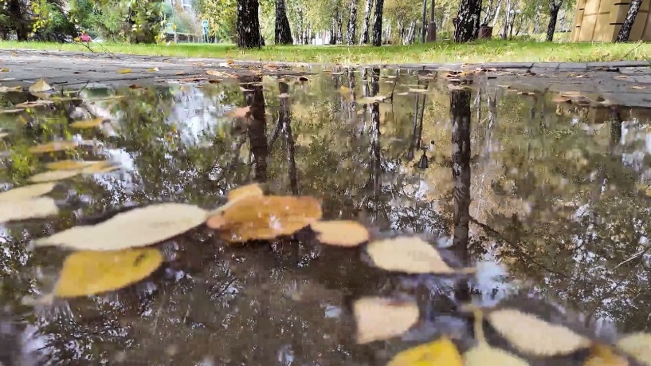 Эфир от 28.09.25