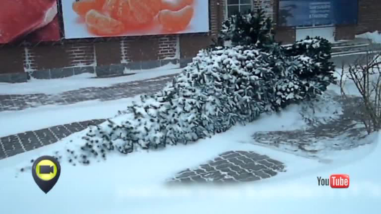 Эфир от 18.12.2014