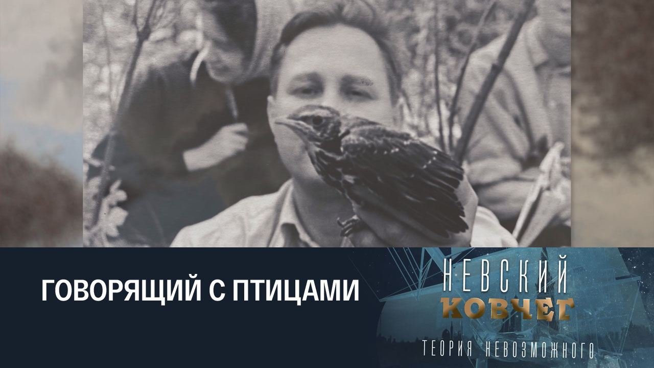 Алексей Мальчевский