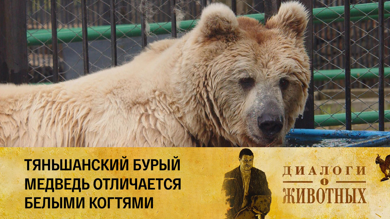 Красноярский парк флоры и фауны "Роев ручей"