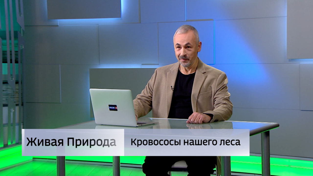 Живая природа. "Кровососы нашего леса". Эфир от 11.10.2025