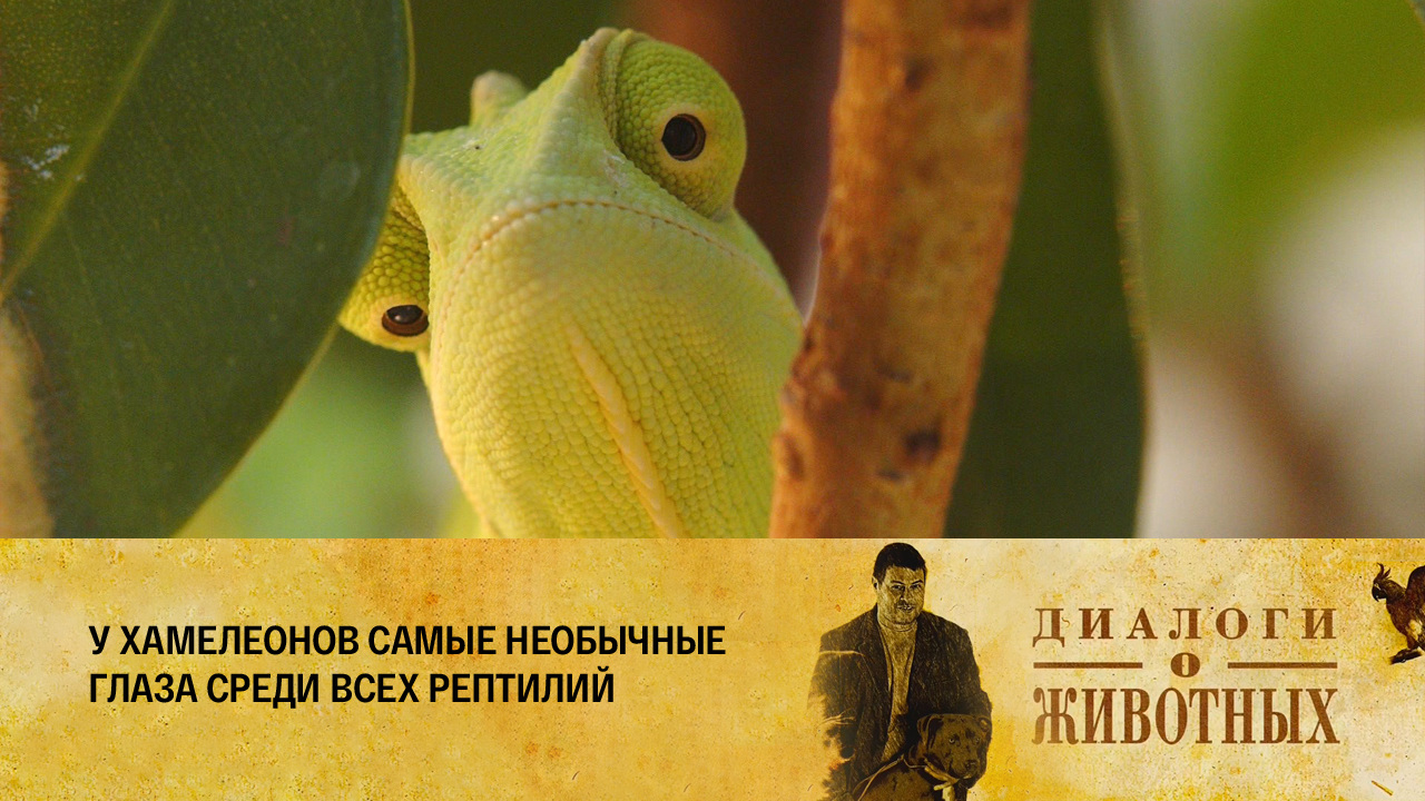 Красноярский парк флоры и фауны "Роев ручей"