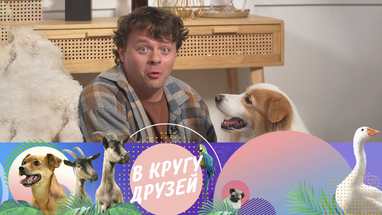 Эфир от 19.10.2025
