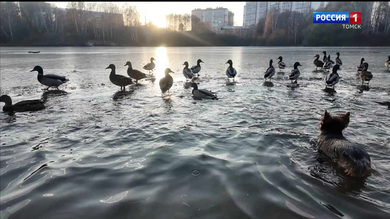 Эфир от 21.10.2025