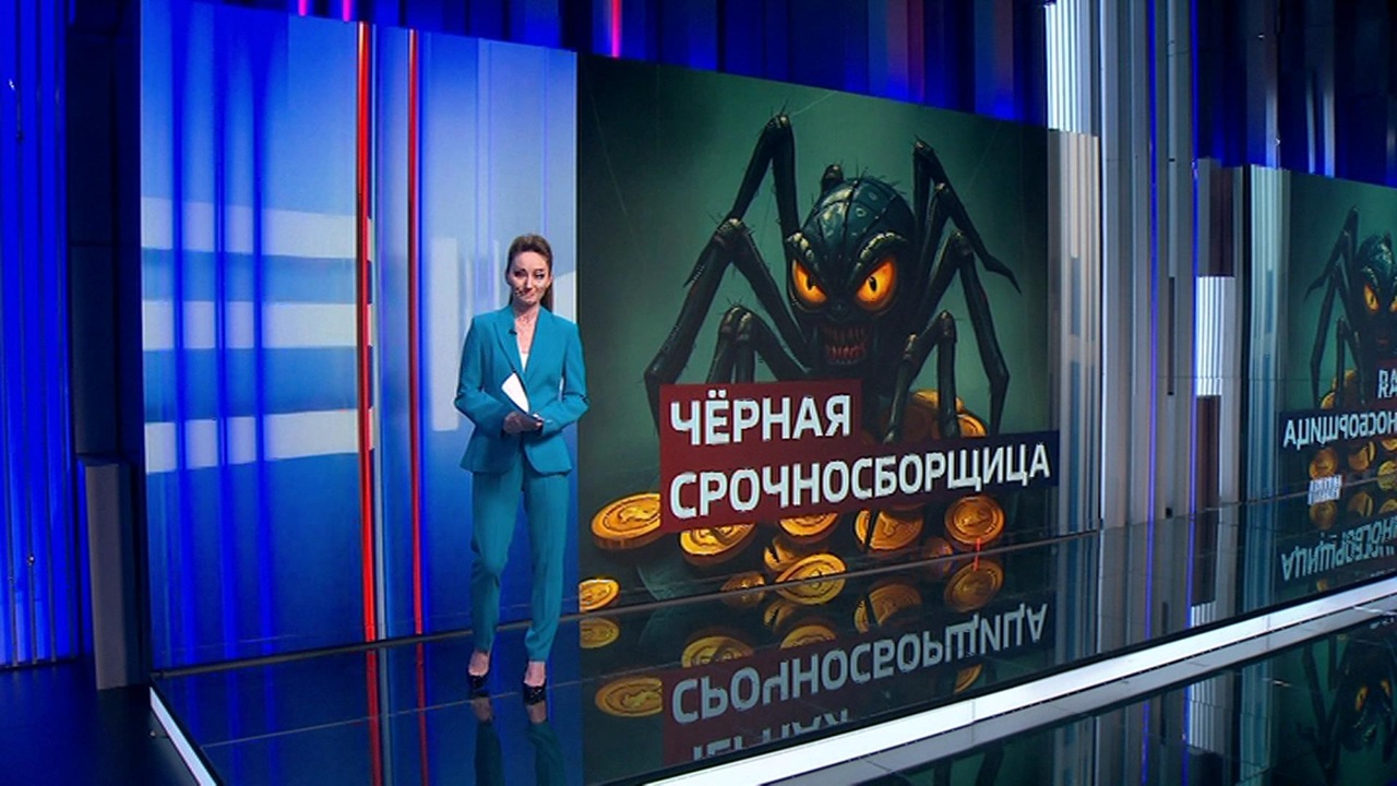 Черная срочносборщица