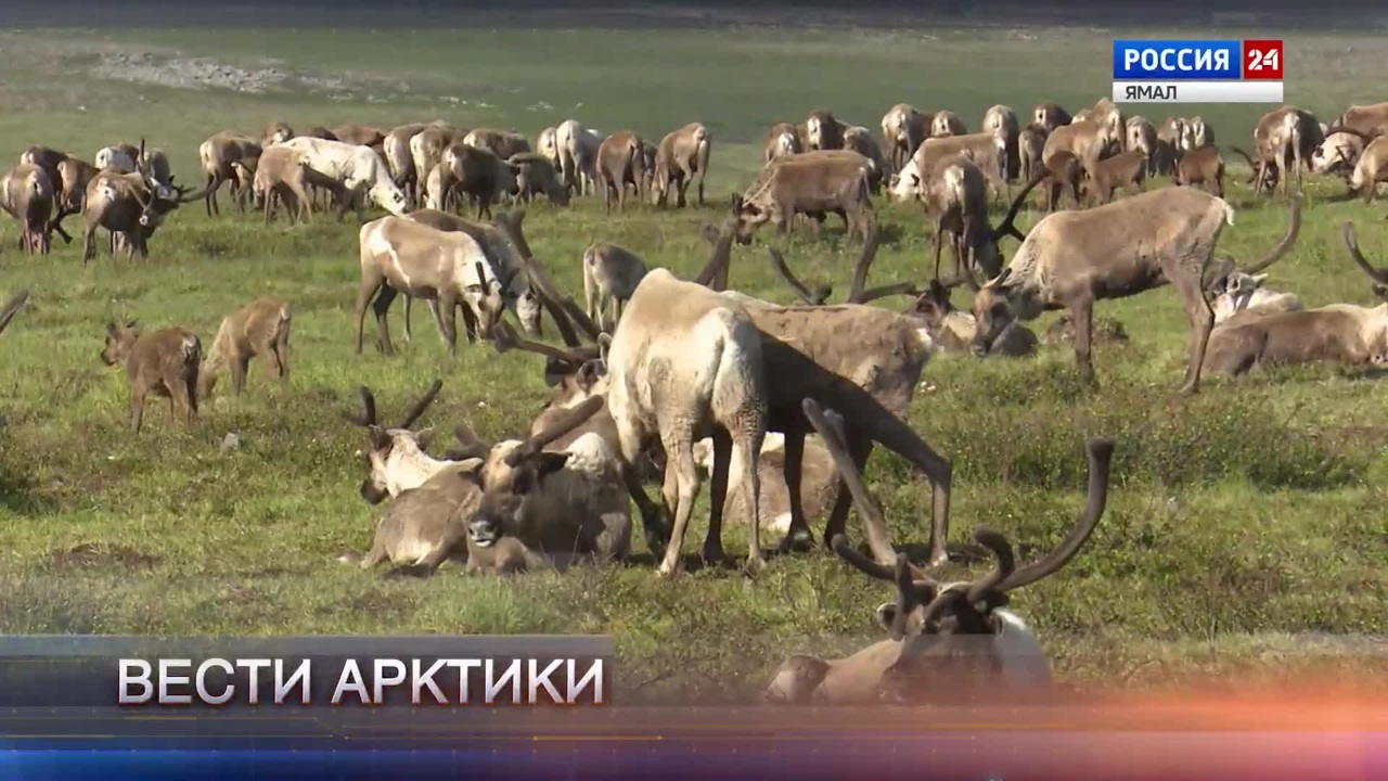 Эфир от 01.11.2025