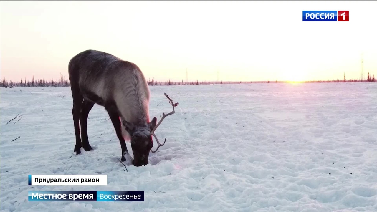 Эфир от 09.11.2025