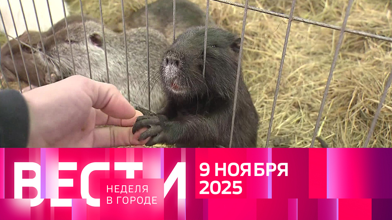 Эфир от 09.11.2025