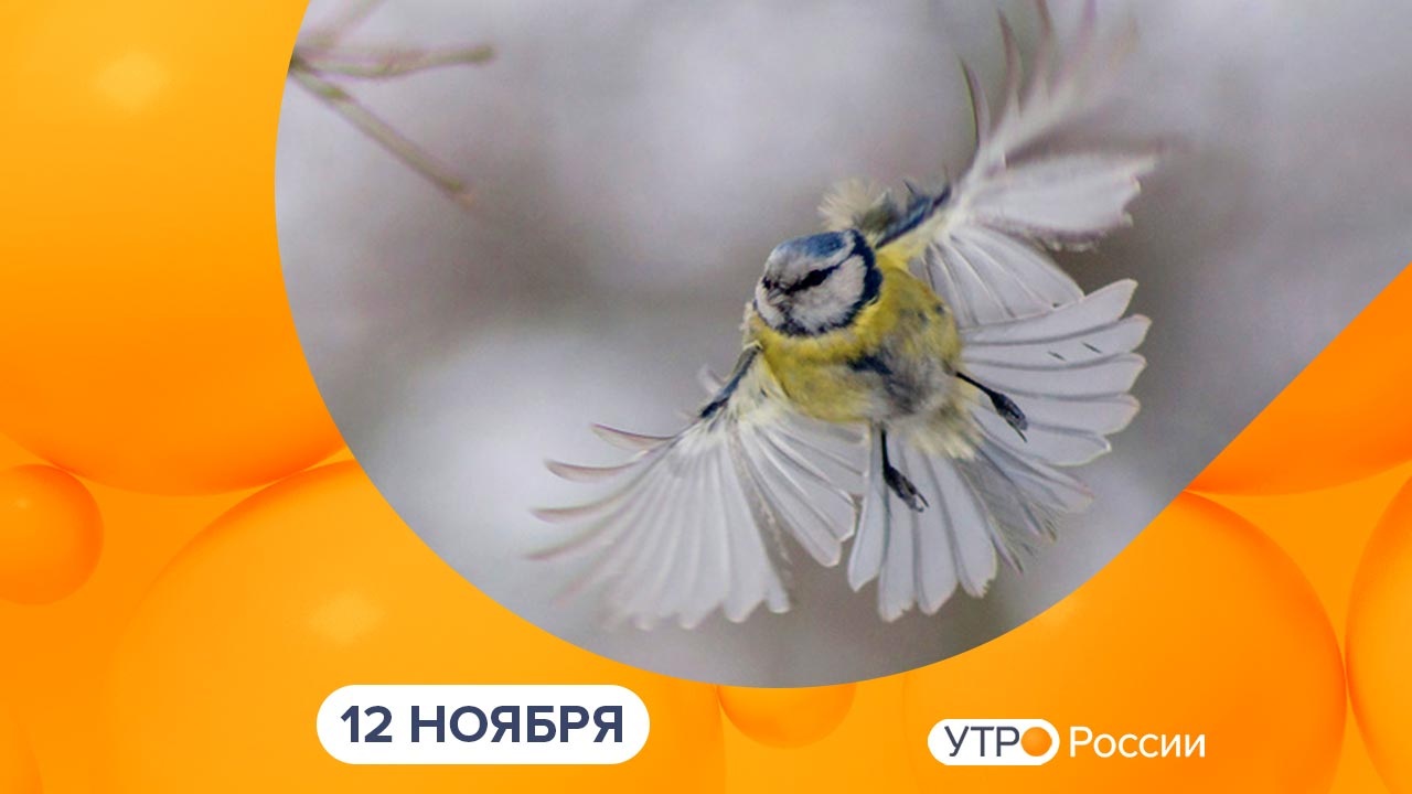 Эфир от 12.11.2025
