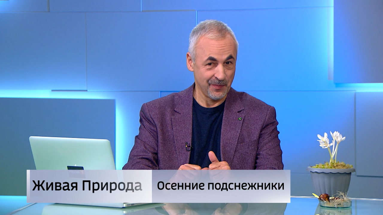 Живая природа. "Осенние подснежники". Эфир от 15.11.2025