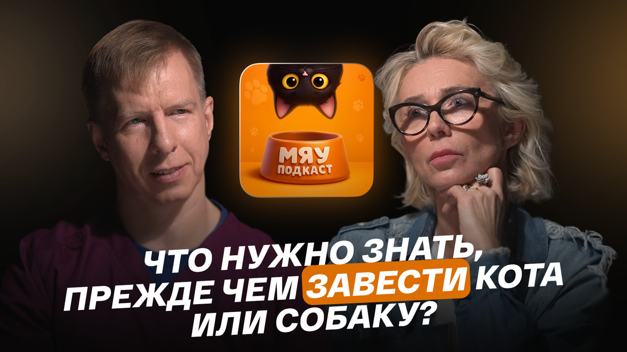 Что нужно знать, прежде, чем завести кота или собаку?