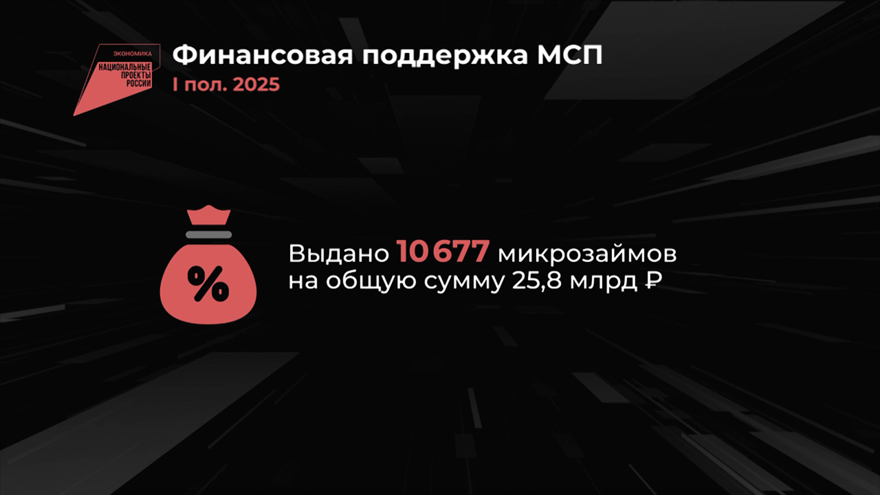 Россия в цифрах. Поддержка малого и среднего бизнеса в I полугодии 2025 года