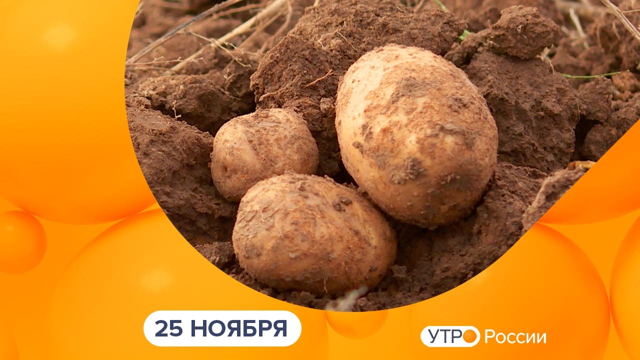 Эфир от 25.11.2025