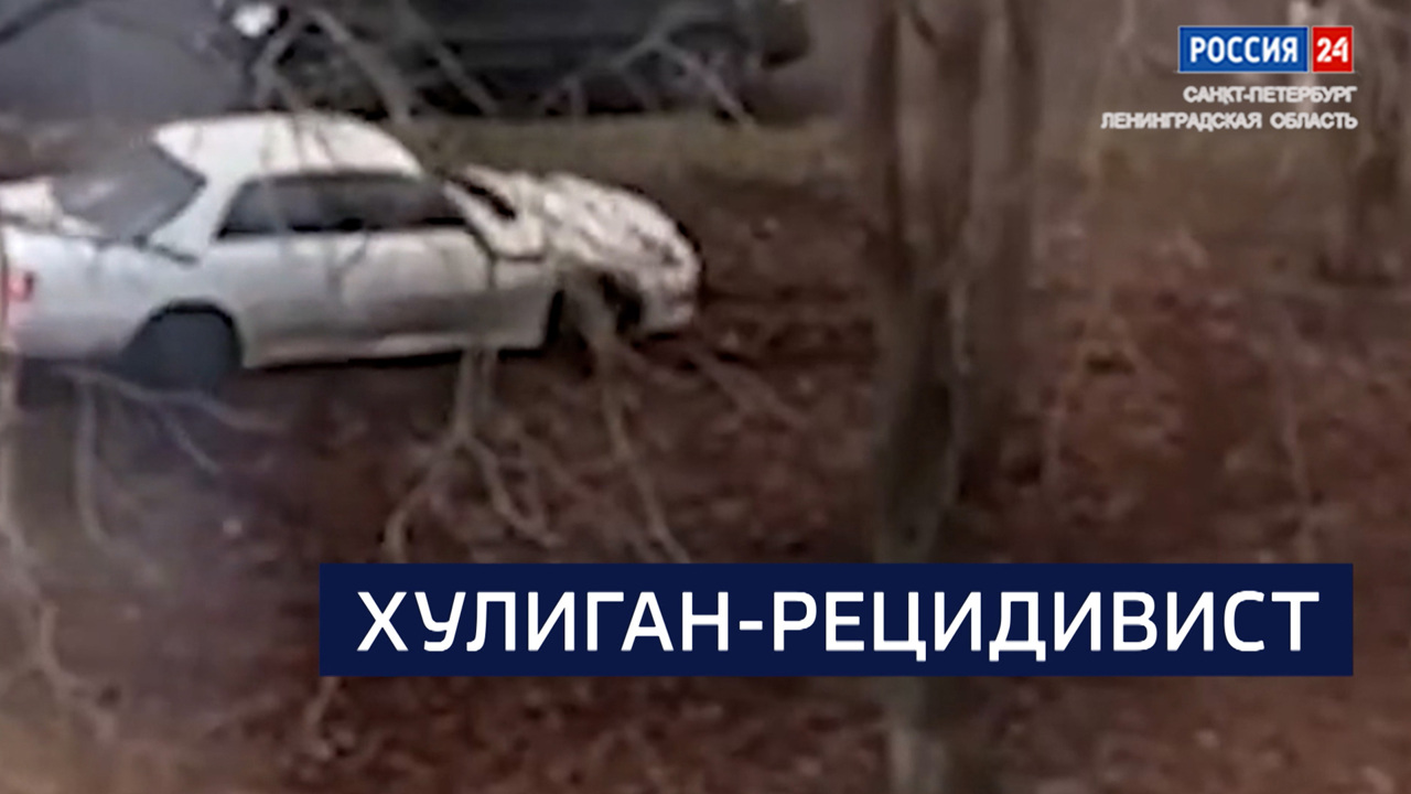Эфир от 25.11.2025