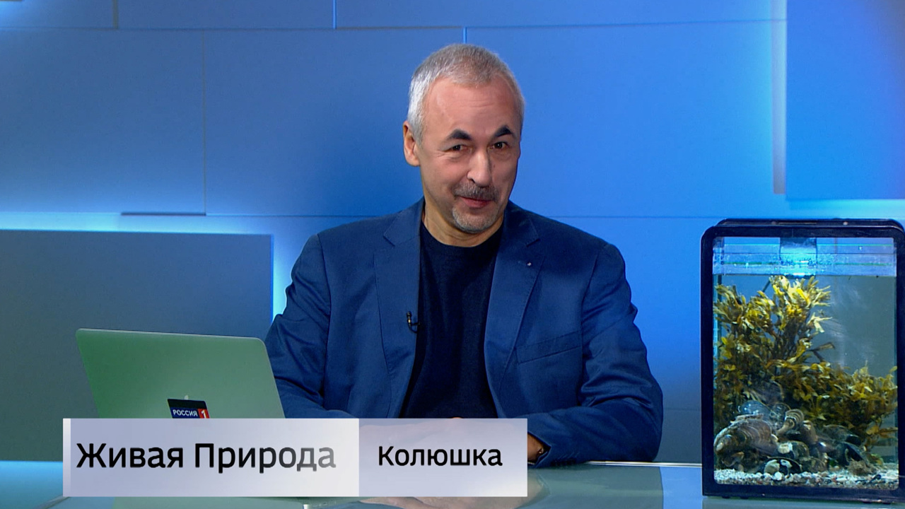Живая природа. "Колюшка". Эфир от 29.11.2025