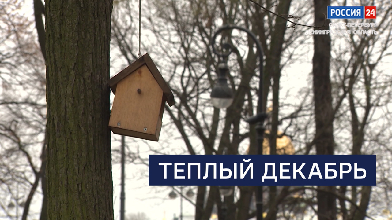 Эфир от 01.12.2025