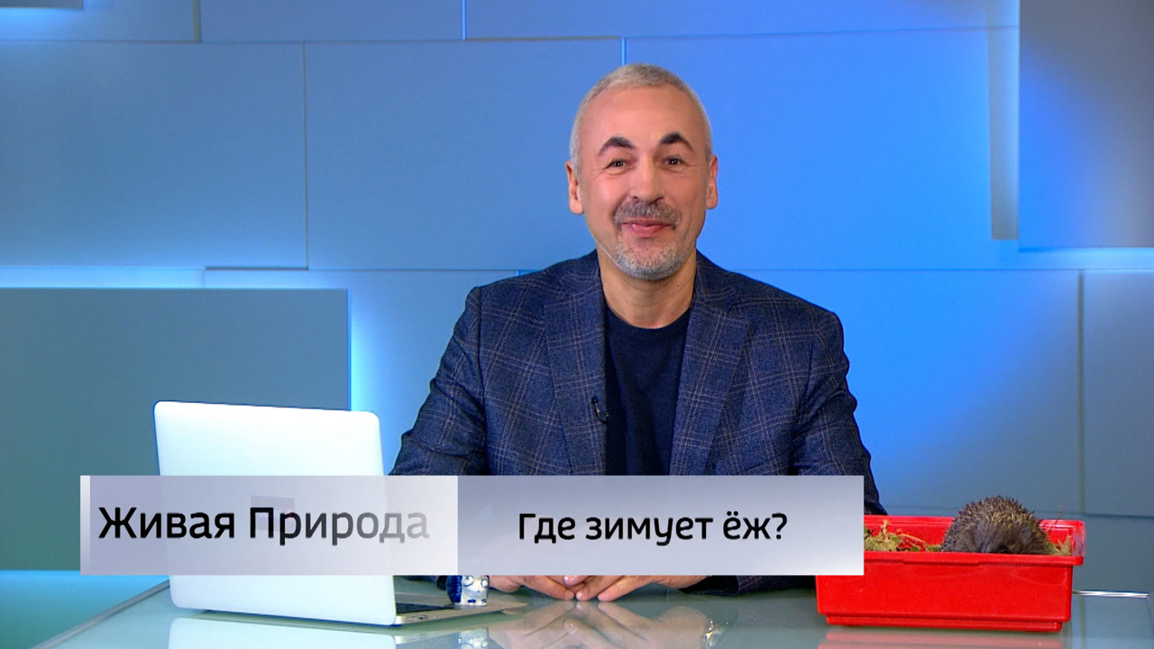 Живая природа. "Где зимует ёж?". Эфир от 06.12.2025