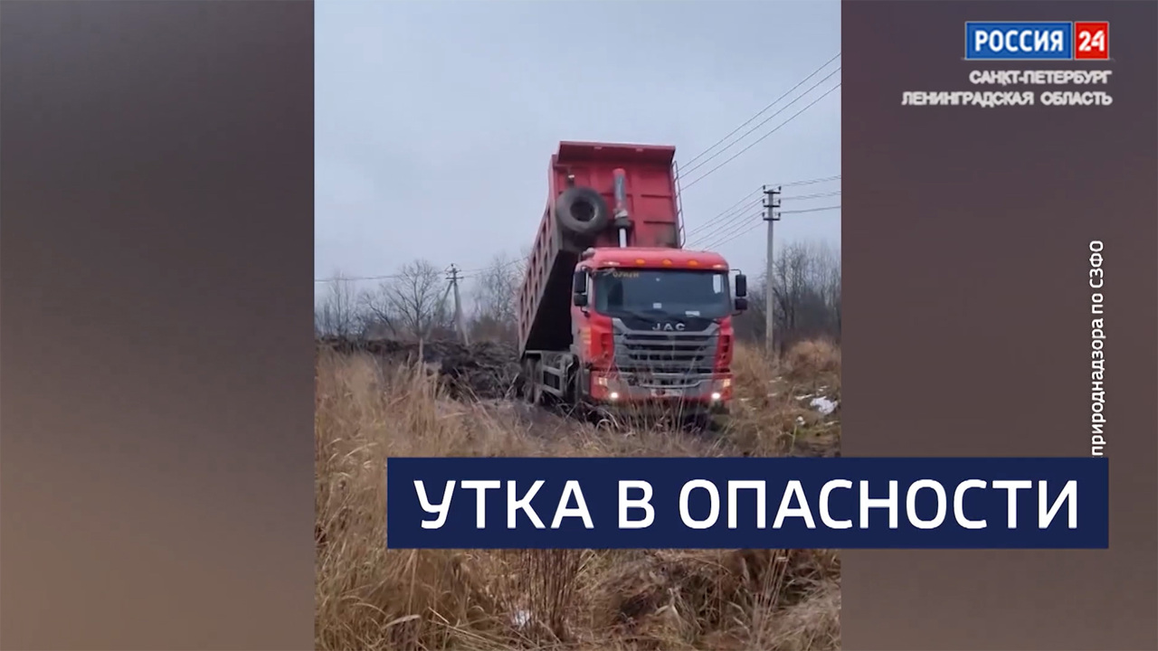 Эфир от 05.12.2025