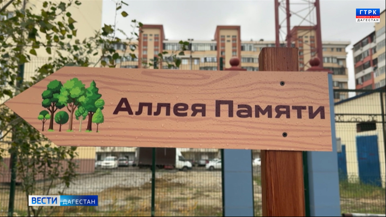 Эфир от 05.12.25