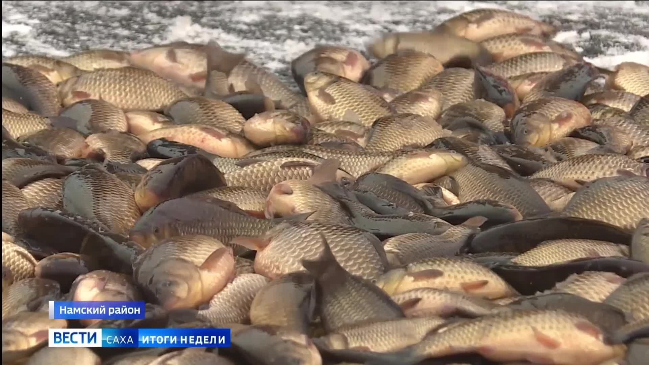 Эфир от 09.11.2025 (14:30)