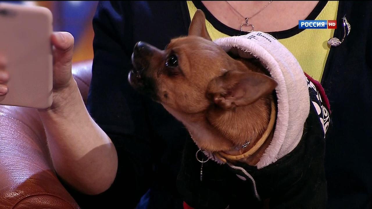Эфир от 07.06.2015