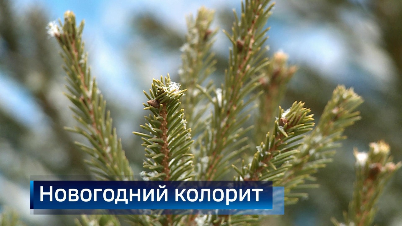 Эфир от 12.12.2025 (11:30)