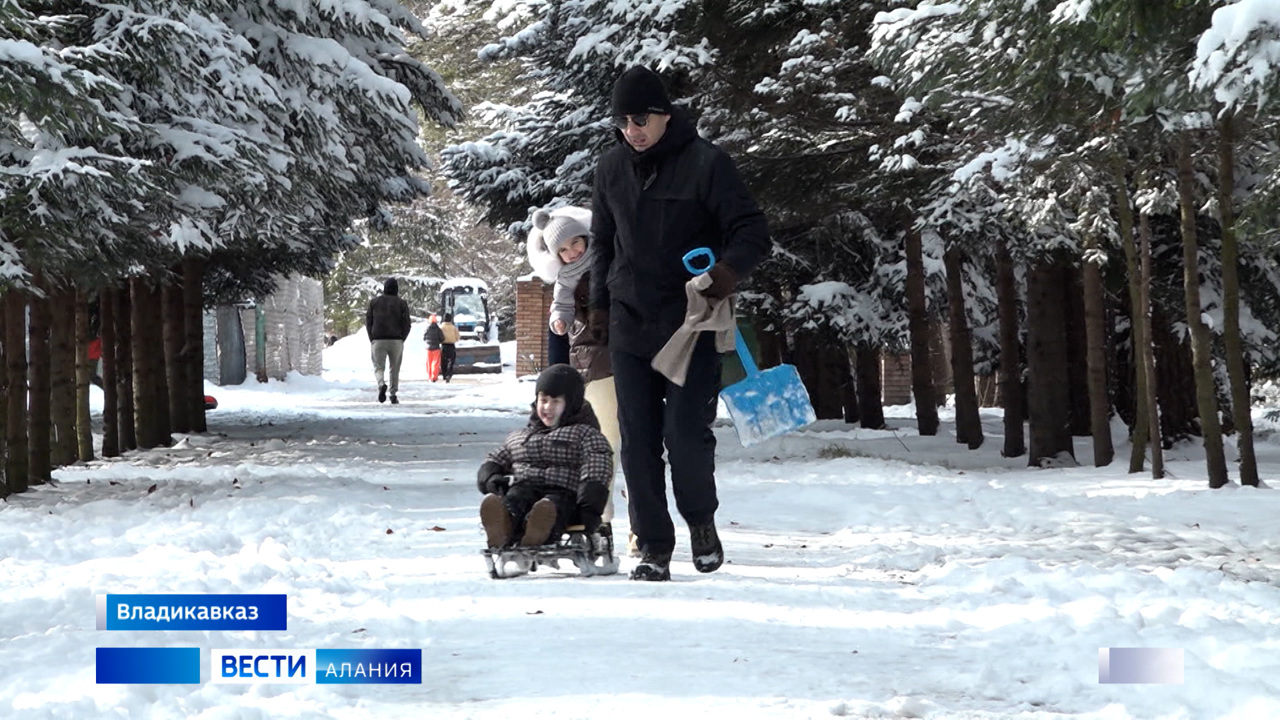 Дети устроили катания на ледянках и ватрушках в парке "Дендрарий"