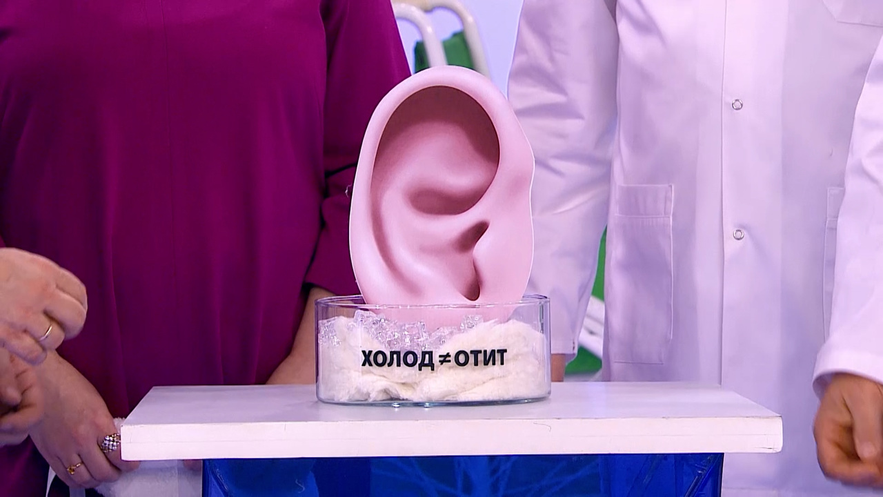 Говяжий язык, отит, боль и тяжесть в желудке. Эфир от 17.12.2025