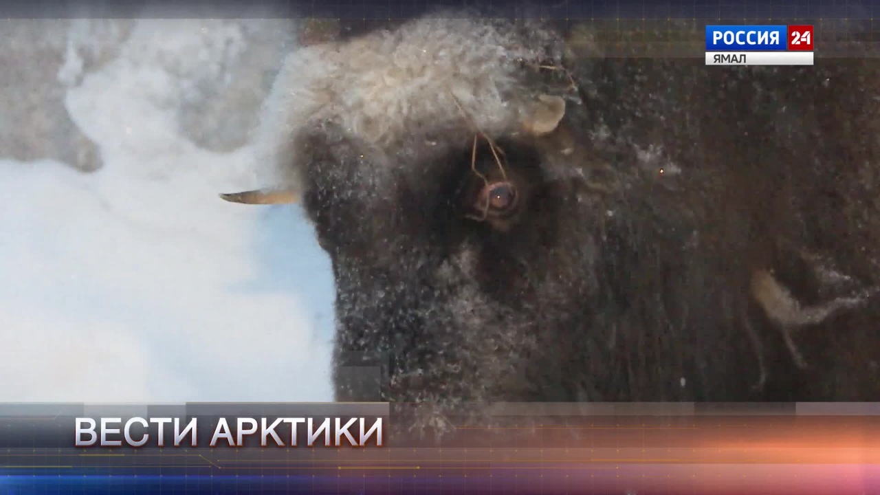 Эфир от 20.12.2025 (14:30)