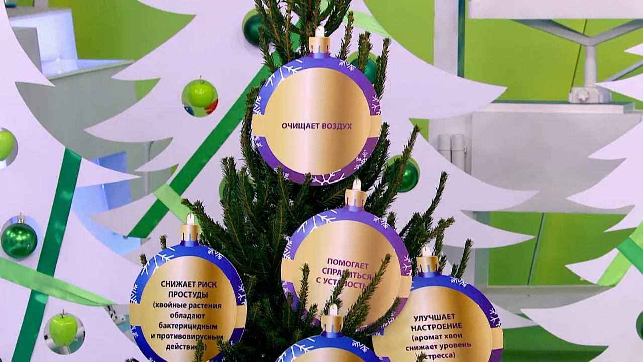 Тренды в медицине, уход за елкой, суставы. Эфир от 23.12.2025