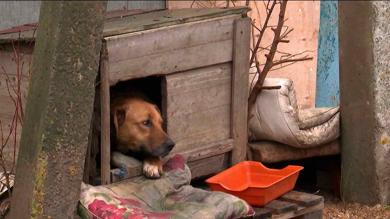Эфир от 22.12.2025 (21:10)