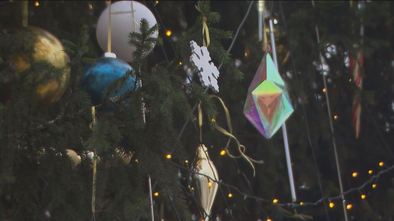 Эфир 23.12.2025 (17:00)