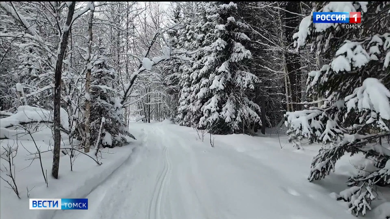Эфир от 24.12.2025 (11:30)