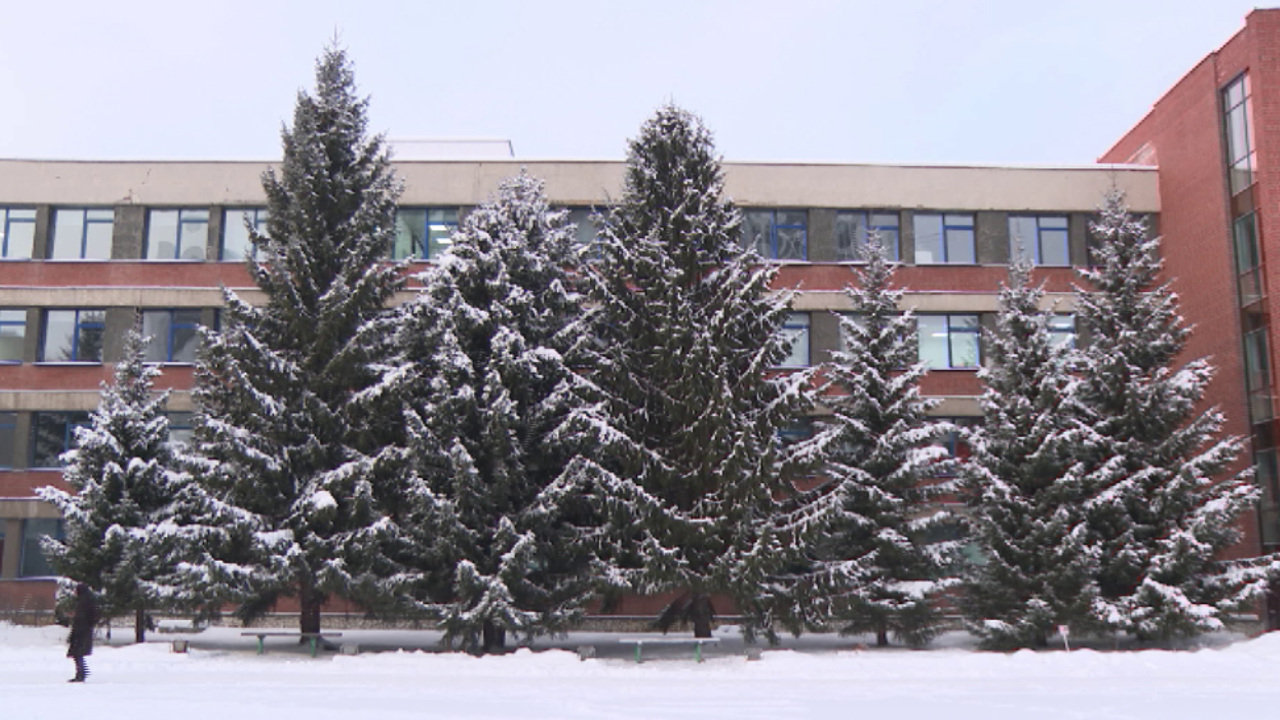 Эфир от 24.12.2025 (11:30)