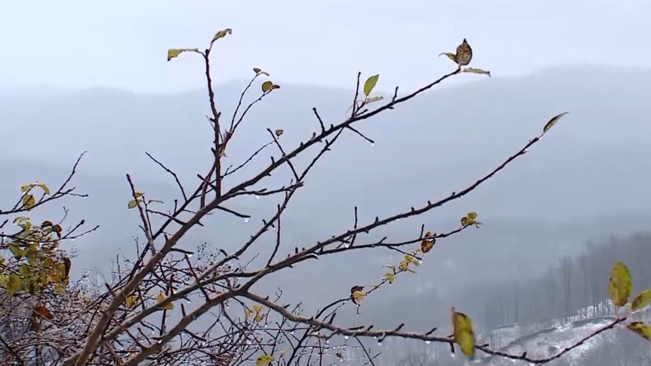 Эфир от 24.12.2025 (05:35)
