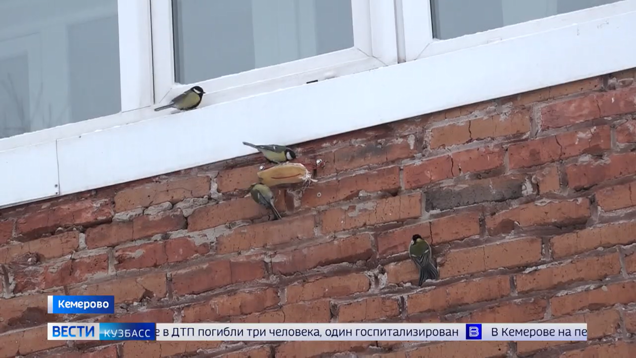 Эфир от 25.12.2025 (21:10)