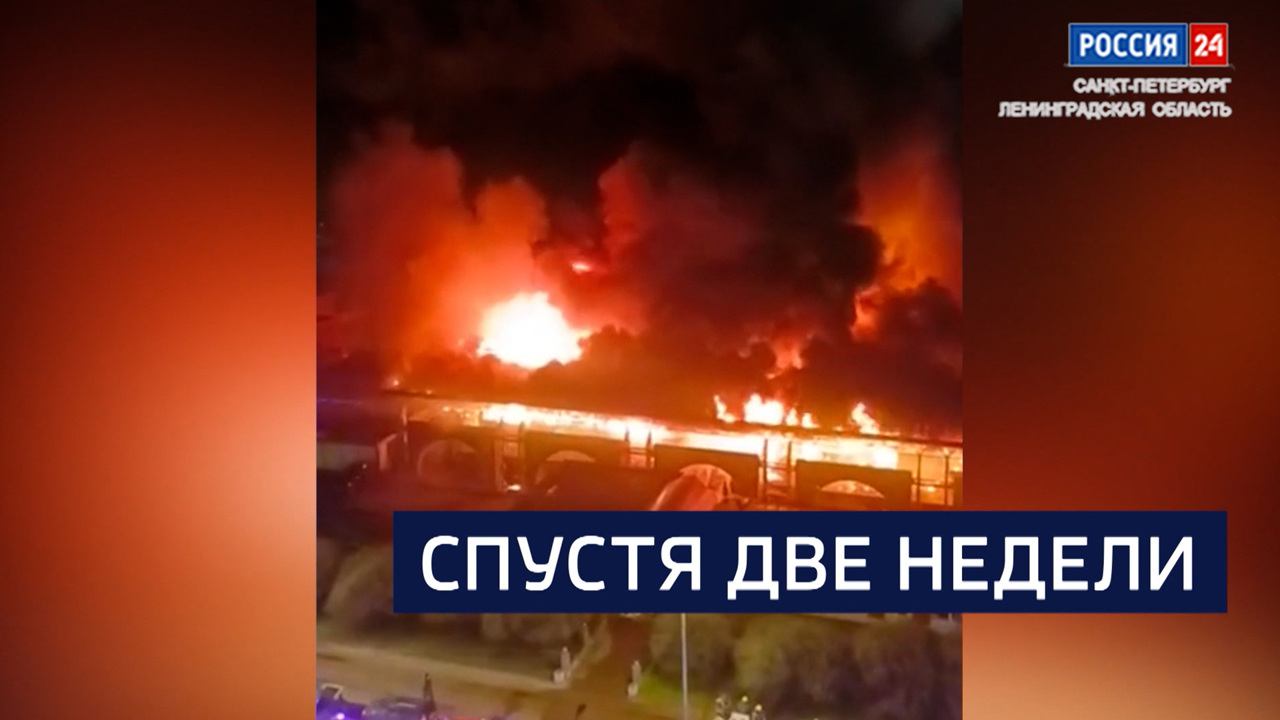 Эфир от 25.12.2025
