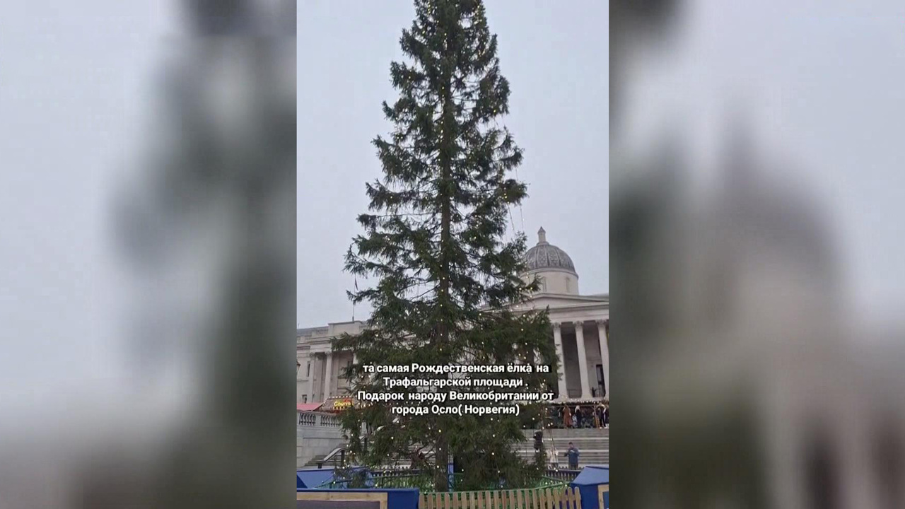Усиленные меры безопасности стали новой рождественской традицией в ЕС