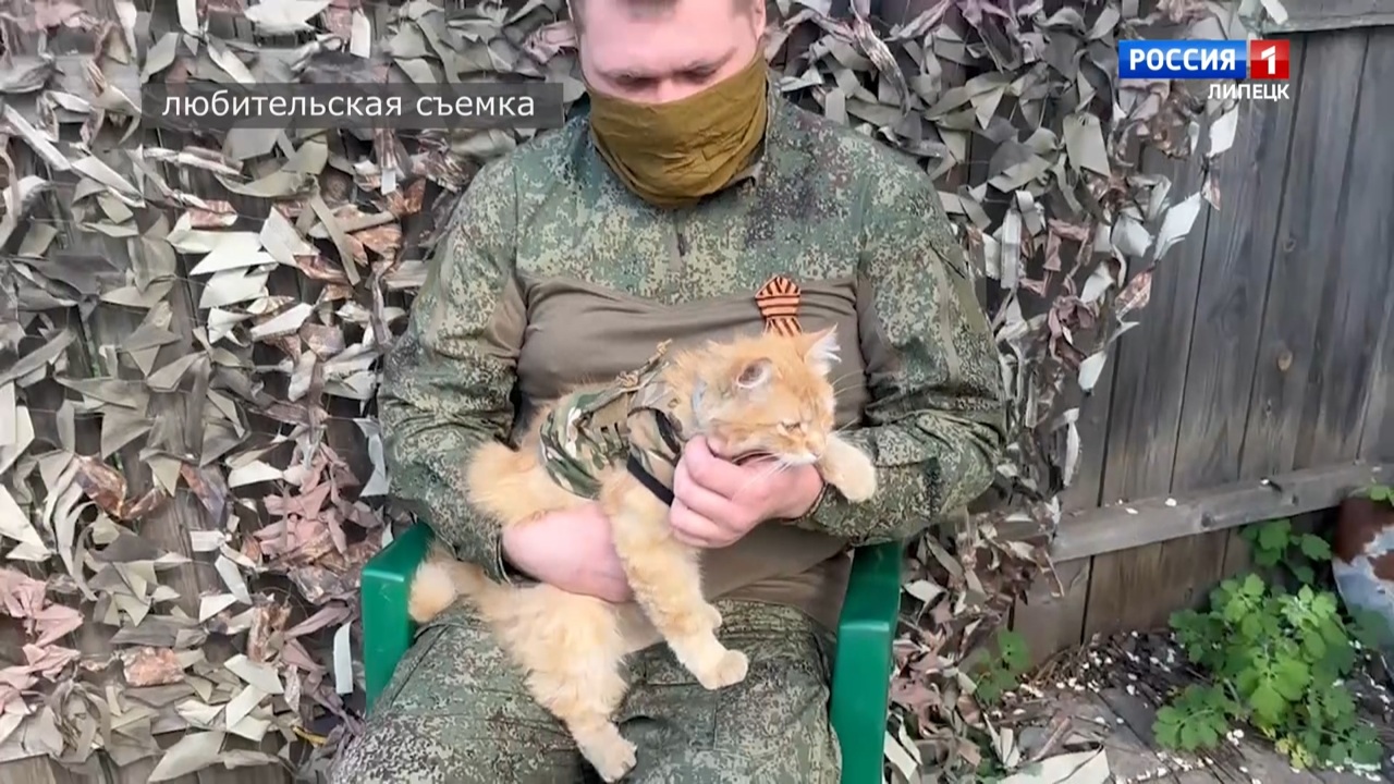 О чем сказали бы фронтовикам липецкие бойцы СВО