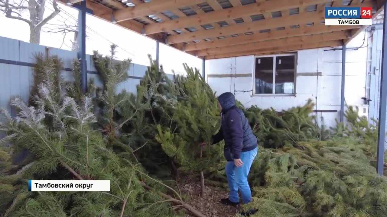 Эфир от 28.12.2025