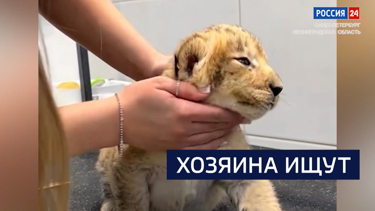 Эфир от 26.12.2025
