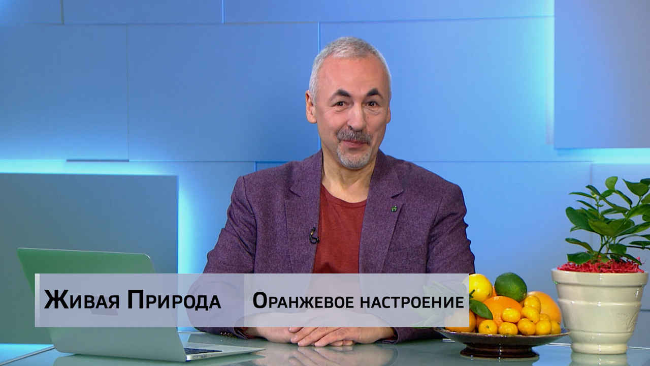 Живая природа. "Оранжевое настроение". Эфир от 27.12.2025